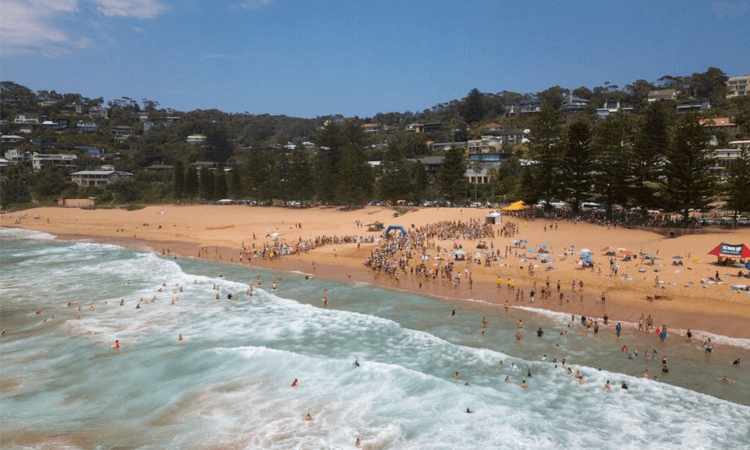 2020 Macquarie Big Swim Whale Beach Sydney NSW