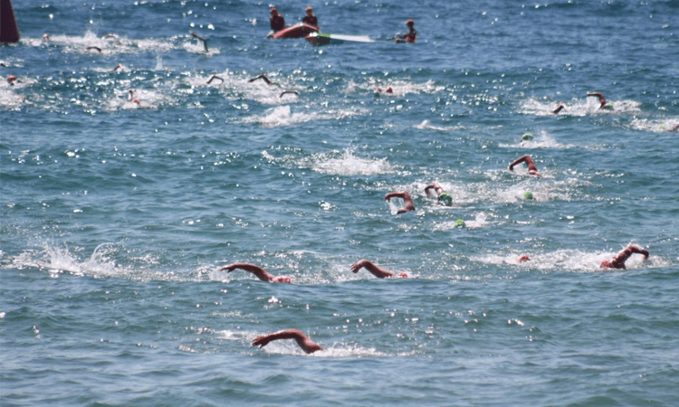 Newport Pool to Peak Ocean Swim Northern Beaches Sydney NSW 2020 swimmers