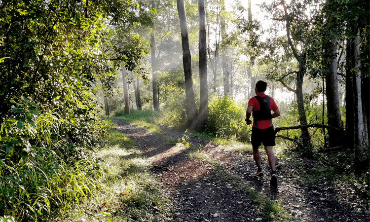 Guzzler Ultra Distance Trail Run Brisbane Queensland 2020