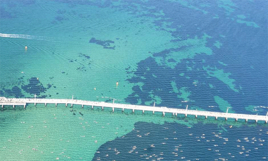 Busselton-Jetty-Swim-WA-aerial-image-550x330px