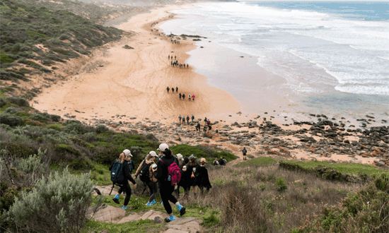 Coastrek-Adelaide-Fleurieu-Peninsula-2024-aerial-view-walkers-on-beach