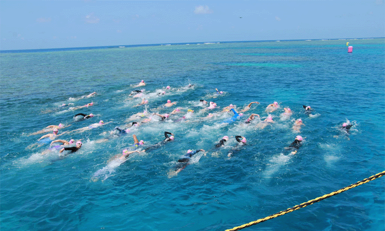 Great Barrier Reef Swim 2023