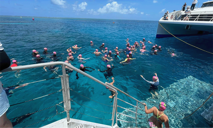 Great Barrier Reef Swim swimmers starting