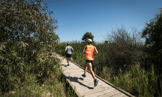 Great Southern Bolt Half Marathon Run South Australia beach runners boardwalk