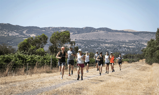 Great Southern Bolt Half Marathon Run South Australia runners hillside