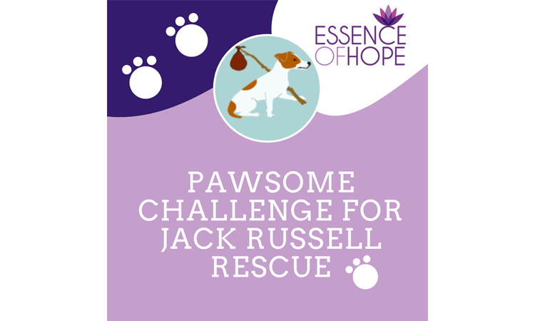 Pawsome Challenge Virtual Walk Event for Jack Russel May 2022