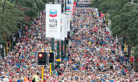 Chevron City to Surf 550x330px