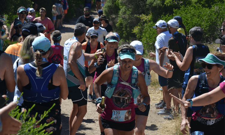 Two Bays Trail Run Mornington Peninsula Victoria 2023 runners