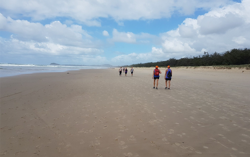 Copa 2 Killcare Coast Walk Central Coast NSW 2018