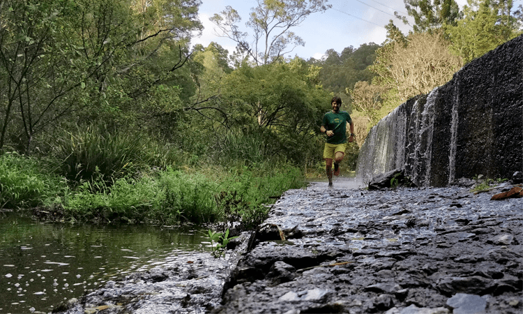 Guzzler Ultra Distance Trail Run in Brisbane Queensland 2020 reservior